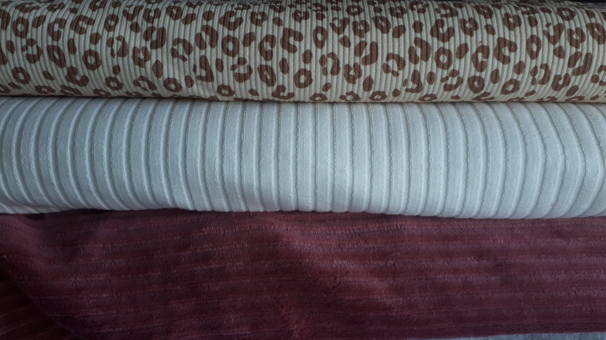 Aksamit prążkowany - obrazek 2