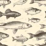 Jersey bawełniany 220g ryby